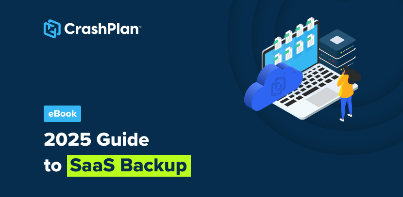 2025 Guide to SaaS Backup